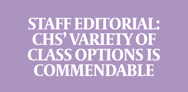 Staff Editorial: The variety of class options at this school is commendable